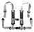 2-inch 4-point Harness with Auto Buckle