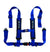 2-inch 4-point Harness with Auto Buckle