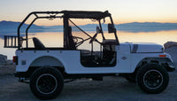 ROXOR Roll Cage (2018-2024)